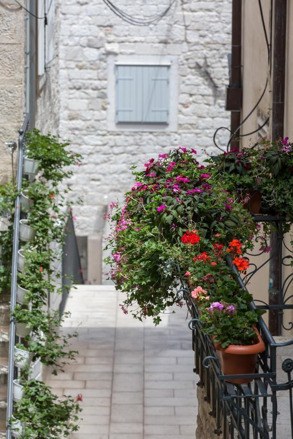 Maison d'hôtes Riva Palace